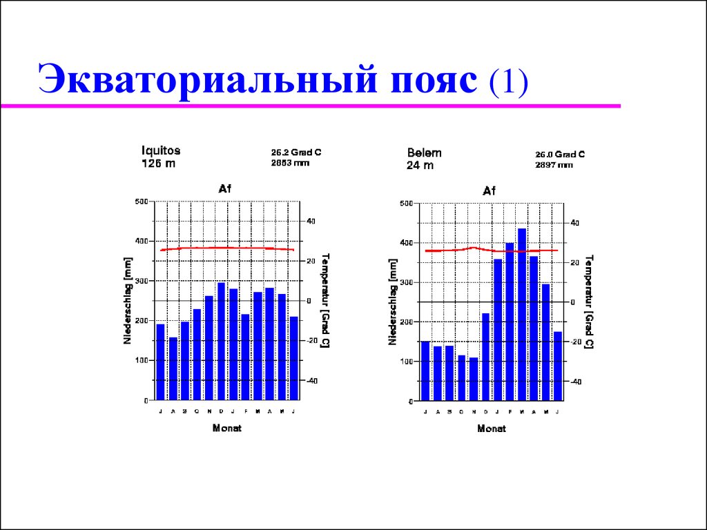 Климатическая диаграмма экваториального. Климат Южной Америки экваториальный пояс. Климатическая диаграмма экваториального пояса. Экваториальный климат Южной Америки. Экваториальный лес климатограмма.