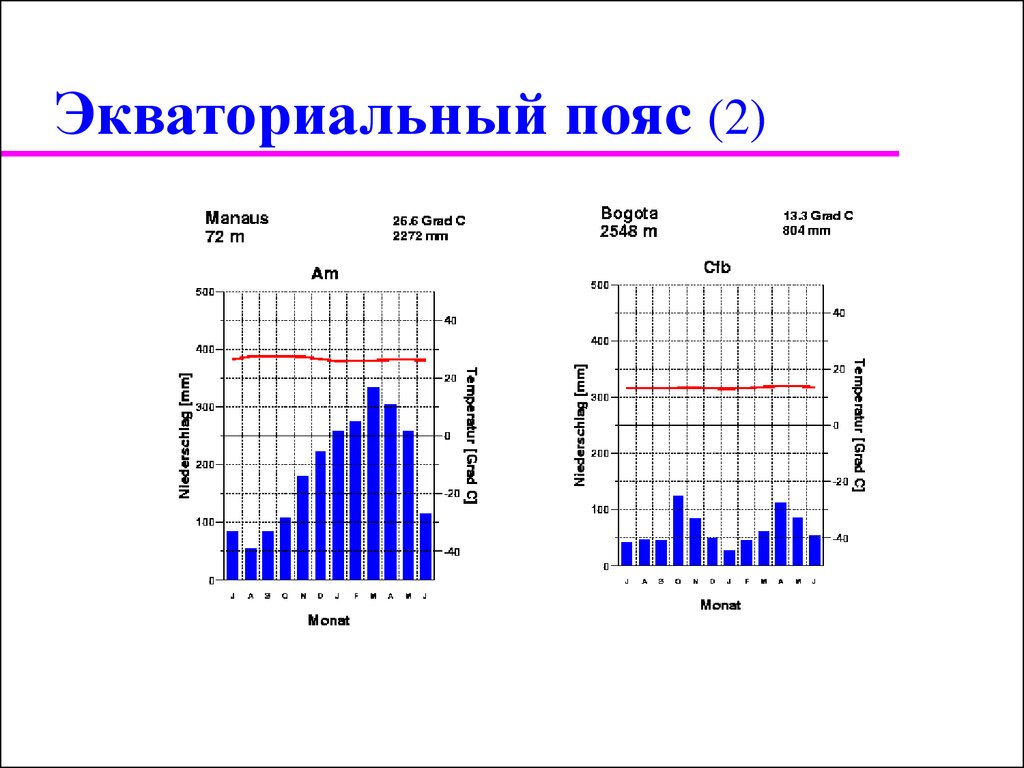 Мбандака климатограмма. Климатограмма экваториального климата. Климатограммы экваториального пояса. Климат Южной Америки климатограммы. Климатограмма субэкваториального климата Южной Америки.