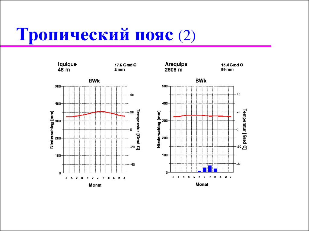 Тропическая диаграмма. Тропический пояс на климатограмме. Диаграмма тропического пояса. Диаграмма тропического пояса Южной Америки. Как выглядит тропический пояс на климатограмме.