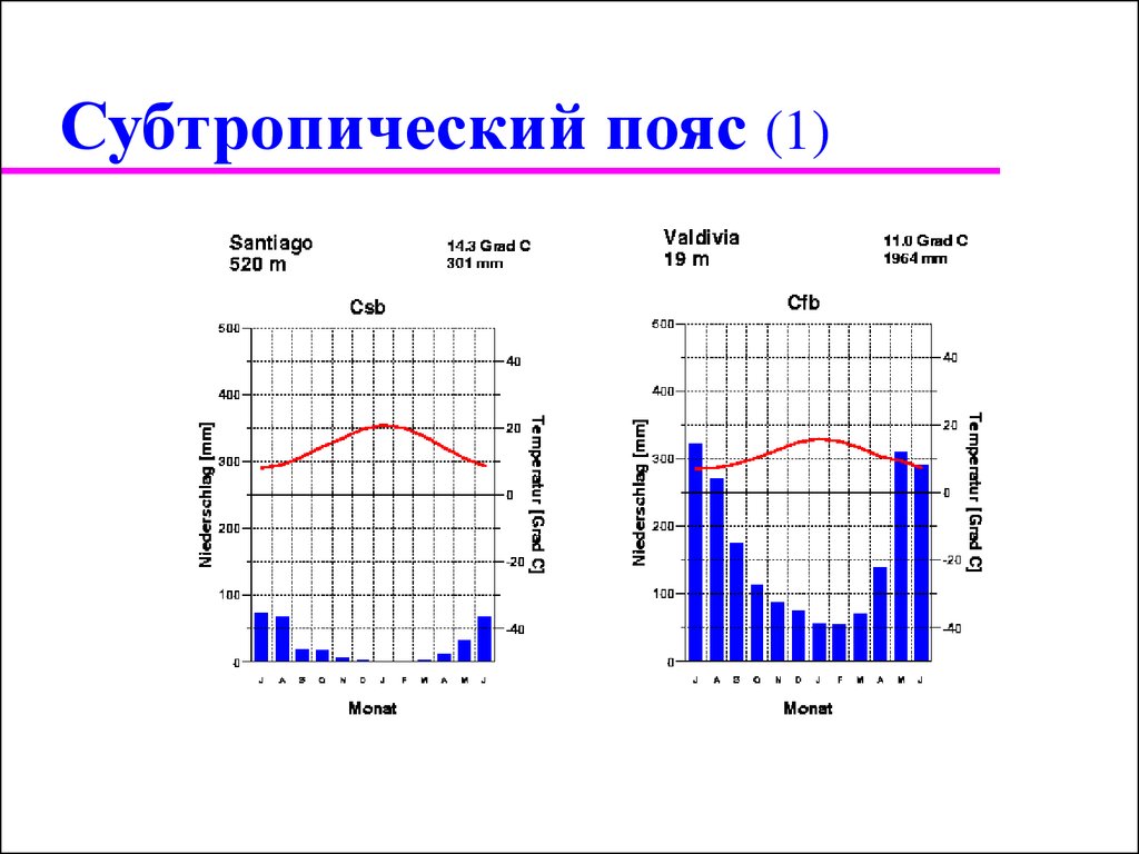 Диаграммы поясов. Климатограммы поясов Южной Америки климатические пояса. Субтропический климат Южной Америки климатограмма. Климатограммы климатических поясов Южной Америки. Климатограммы субтропического пояса Южной Америки.