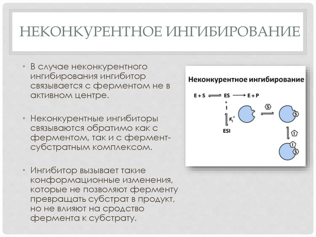 Конкурентное ингибирование ферментов