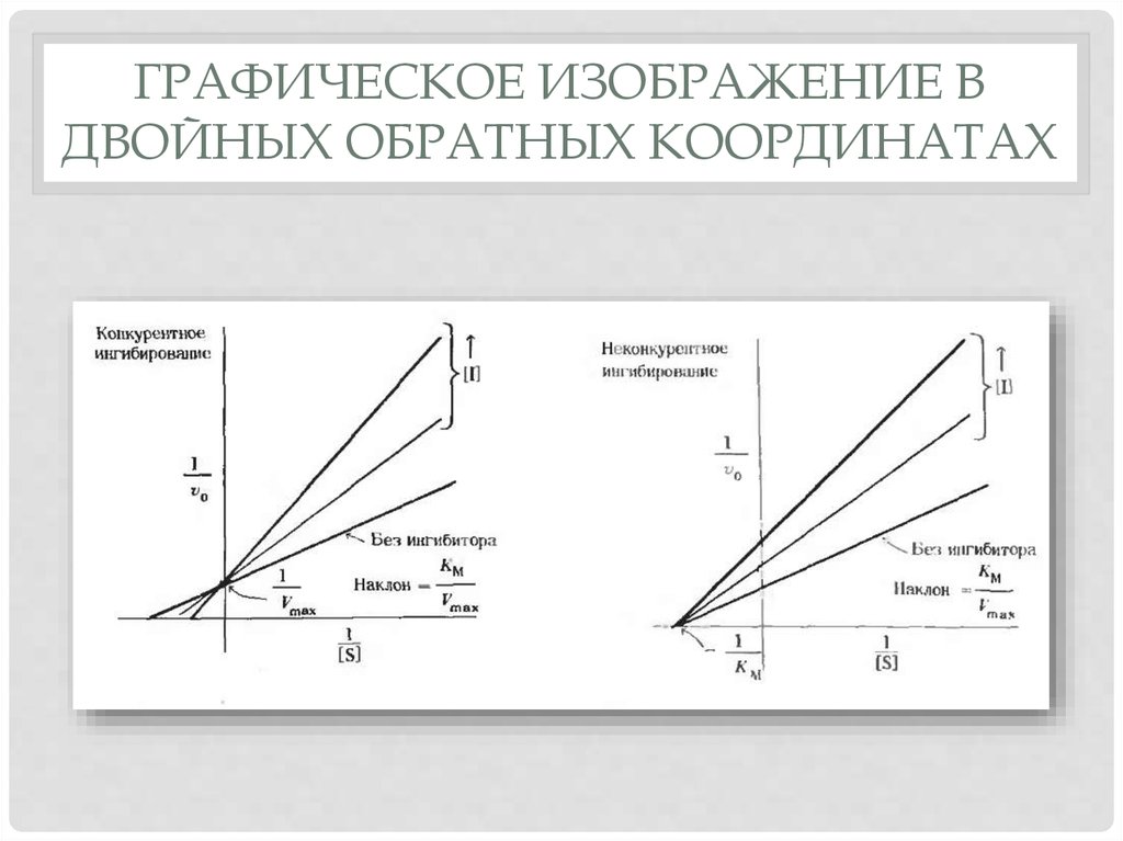 Графическое изображение работы. Конкурентное и неконкурентное ингибирование графики. График в двойных обратных координатах. Двойные обратные координаты. Графики ингибирования.