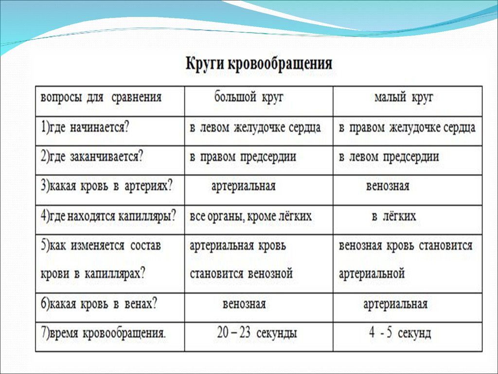 Круги кровообращения таблица. Таблица по биологии 8 класс круги кровообращения малый и большой. Изменение крови в кругах кровообращения таблица. Большой и малый круг кровообращения таблица. Таблица по биологии малый и большой круг кровообращения.