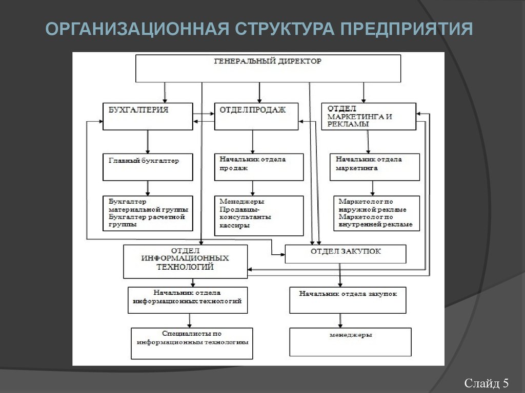 Структура деятельности организации. Организационная структура управления ООО «Спортмастер». Организационная структура ООО Спортмастер. Организационная структура торгового предприятия Спортмастер. Организационная структура магазина Спортмастер.