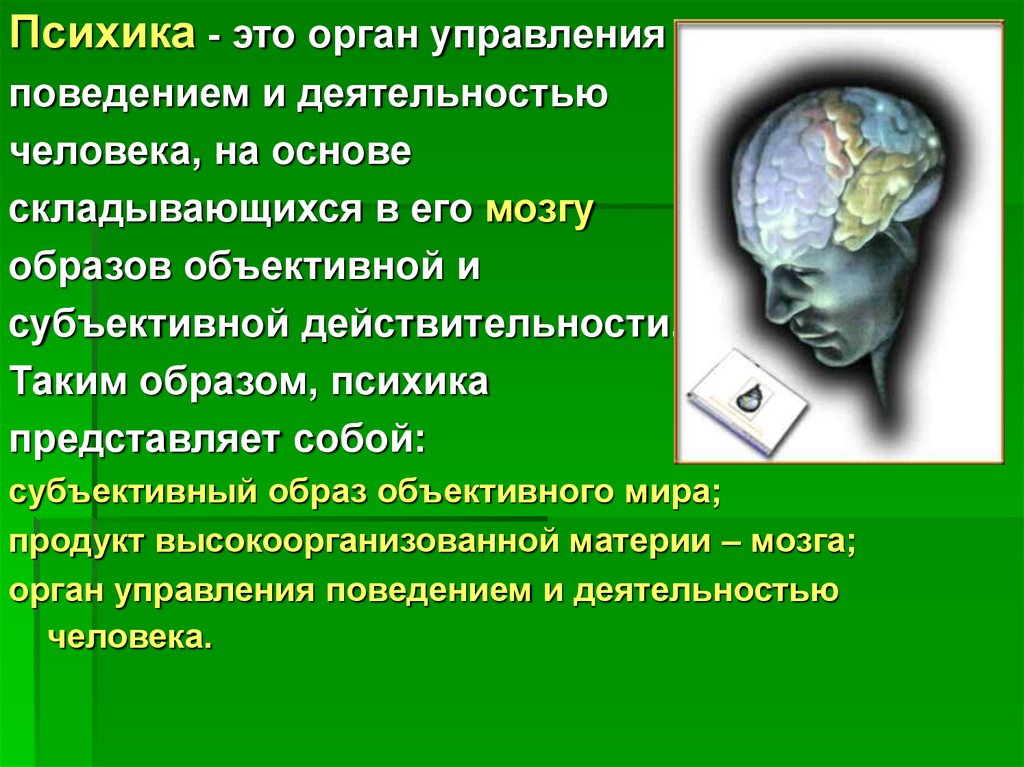 Мозг психика и поведение человека. Психика. Психика человека. Психическая деятельность человека. Психика это в психологии.