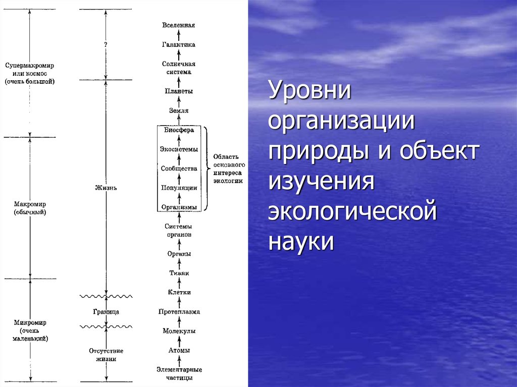 Наименьший уровень организации природы. Уровни изучения экологии. Уровни экологической организации. Уровень организации объект изучения. Степень изучения экологии.