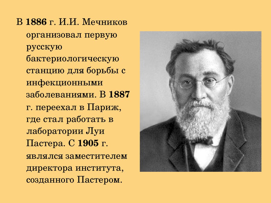 Что создал мечников в биологии