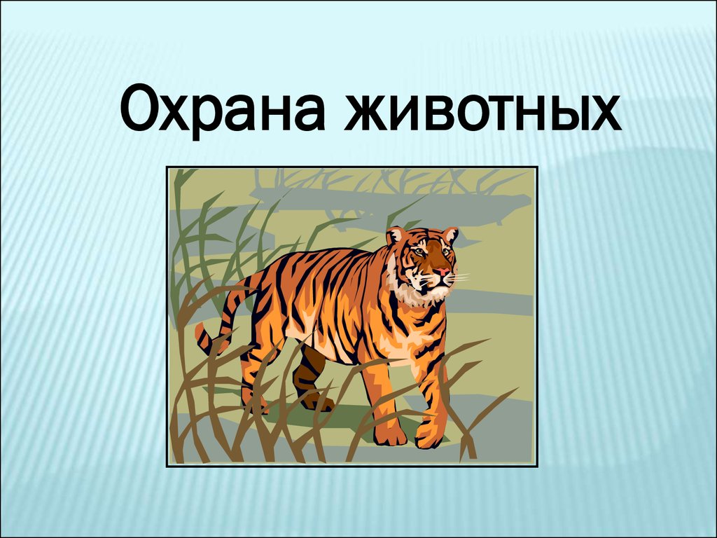 Презентация на тему 3. Охрана животных. Проект охрана животных. Охрана животных 3 класс. Охрана животных презентация.