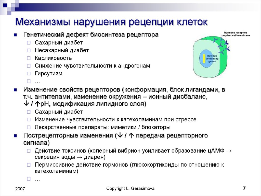 Нарушение клетки. Механизм нарушения рецепторов клеток. Механизмы рецепции гормонов. Механизмы клеточной рецепции гормонов. Патологии клеточной рецепции.