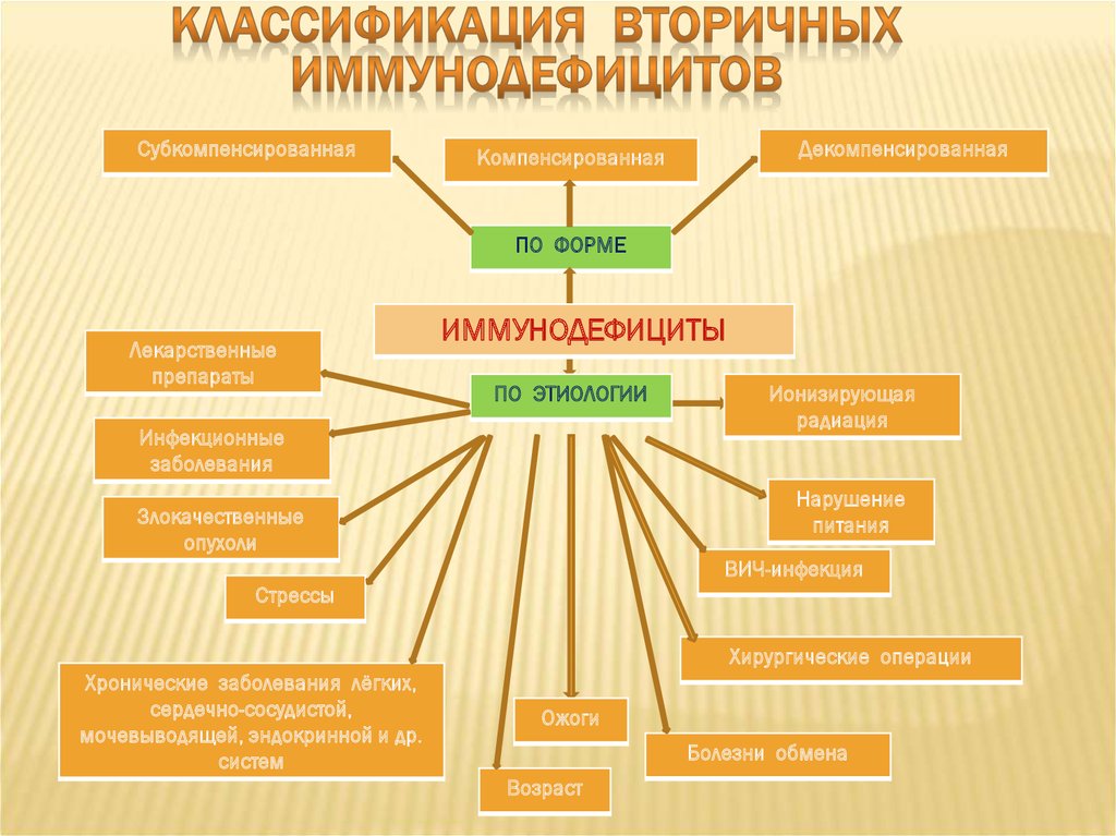 Первичная классификация. Патогенез вторичных иммунодефицитов. Классификация вторичных иммунодефицитов иммунология. Патогенетическая классификация приобретенных иммунодефицитов.. Вторичные (приобретенные) иммунодефициты этиология.