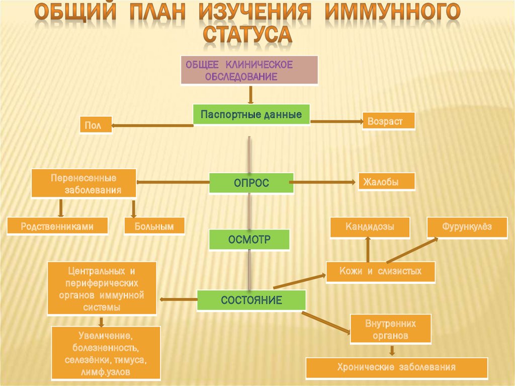 Статус исследования. Иммунный статус. Общее клиническое обследование иммунного статуса. План иммунологического обследования. Общий план исследования.