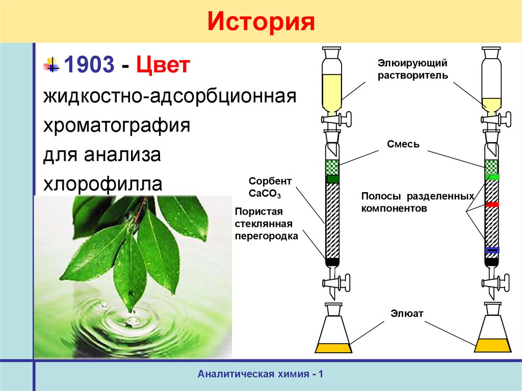 Хроматография методы разделения. Метод хроматографии хлорофилла. Бумажная хроматография хлорофилла. Разделение хлорофилла методом хроматографии. Опыты цвета по хроматографии.