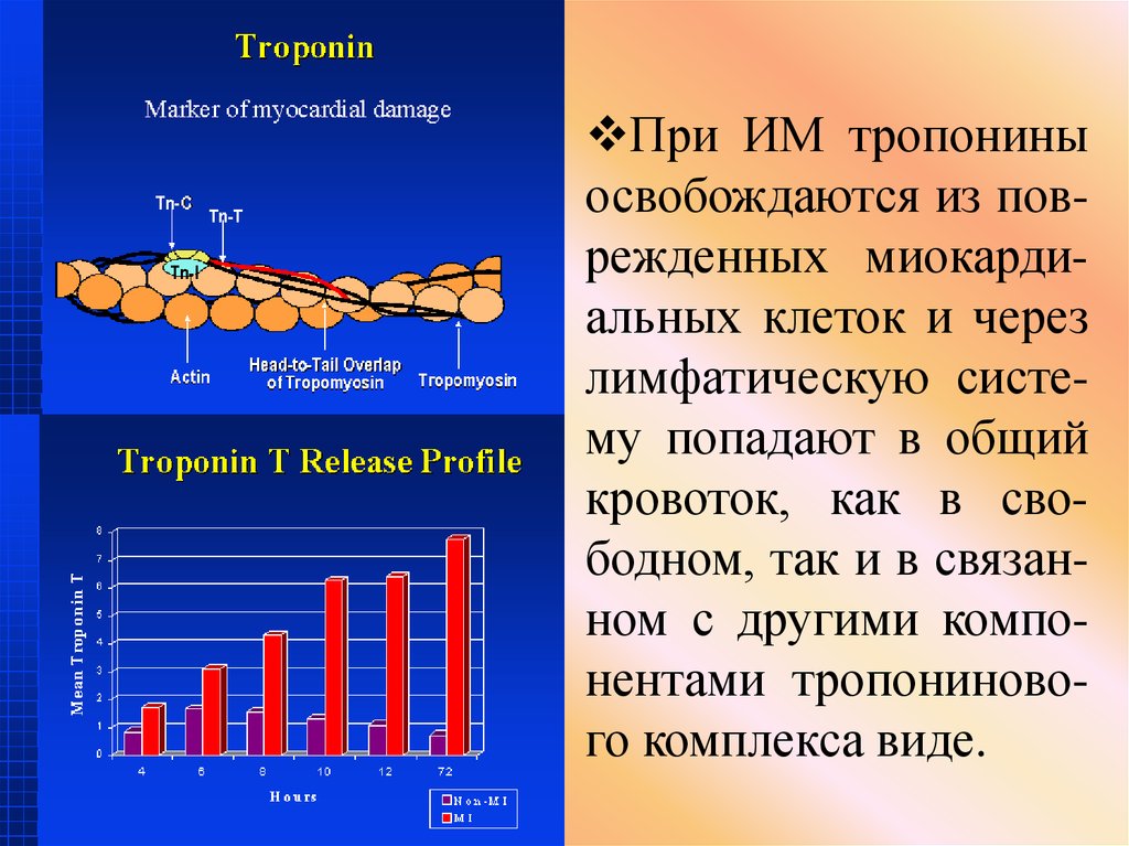 Тропонин анализ цена. Тропонин 1. Тропонин 0,1. Тропонина в крови. Исследование уровня тропонина в крови.