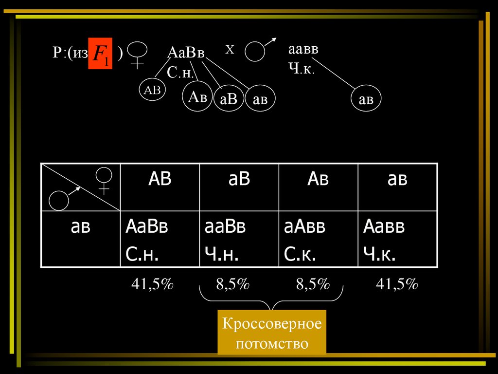 Схема аавв х аавв соответствует скрещиванию