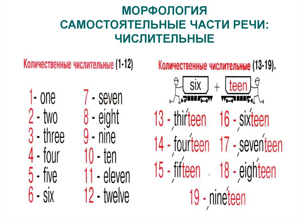 Морфология самостоятельные части речи