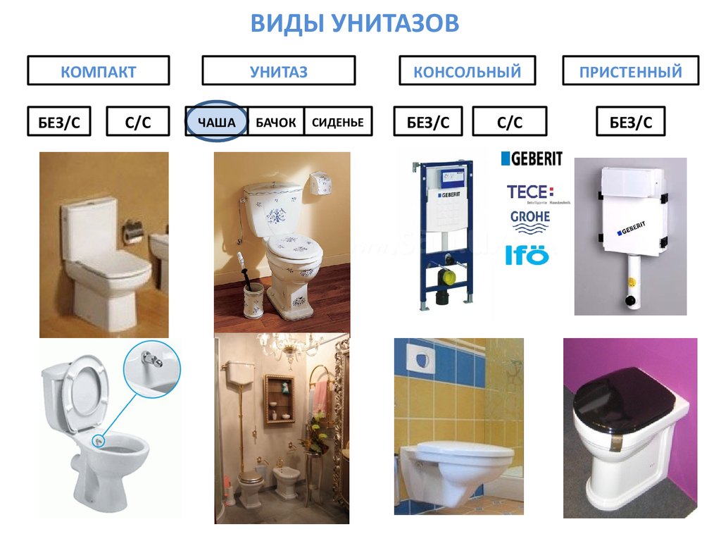 Как подобрать унитаз. Типы туалетов. Унитазы различия. Основные виды унитазов. Сколько видов унитаза есть.