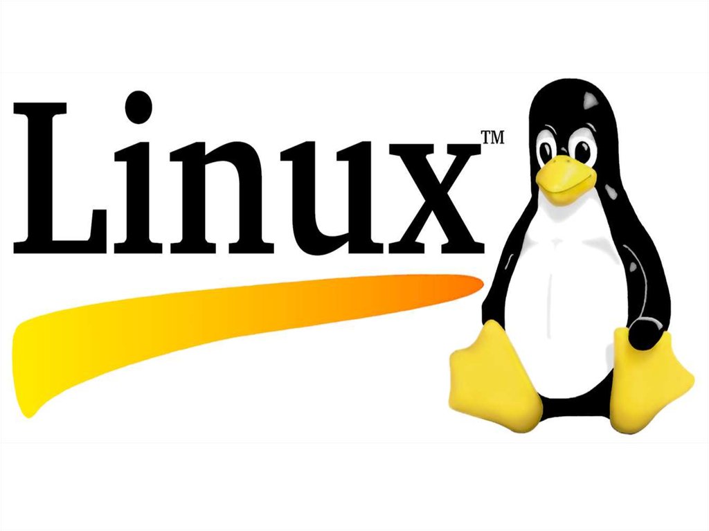 Как узнать файловую систему linux