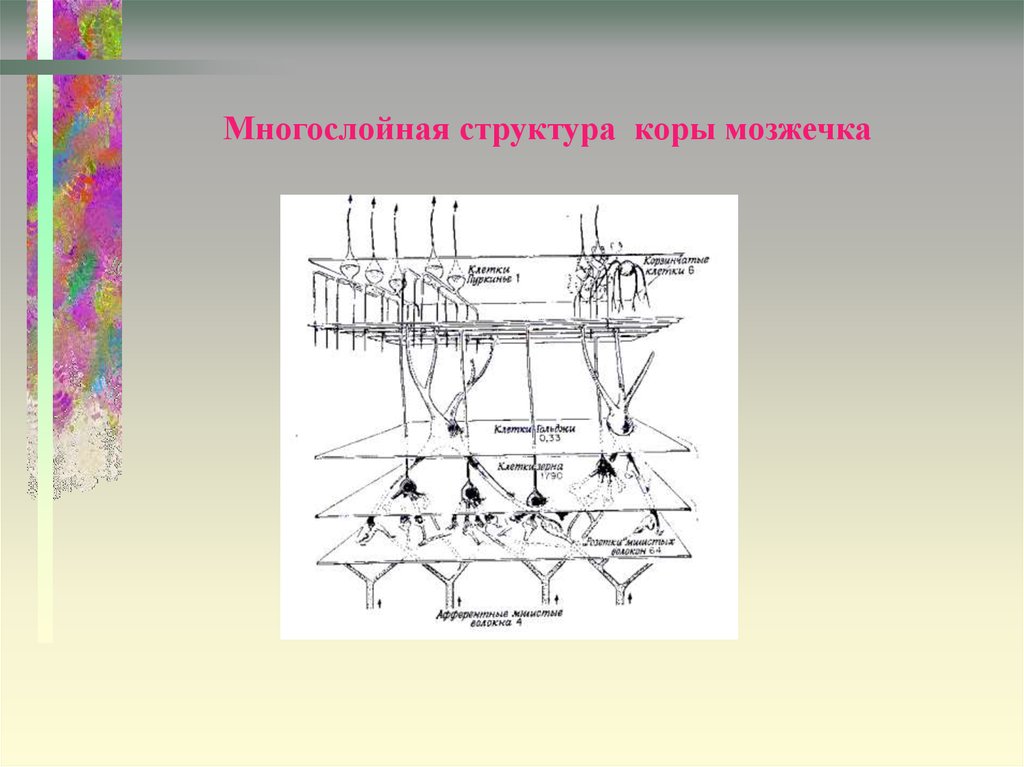 Презентация это многослойная структура на выбранный фон