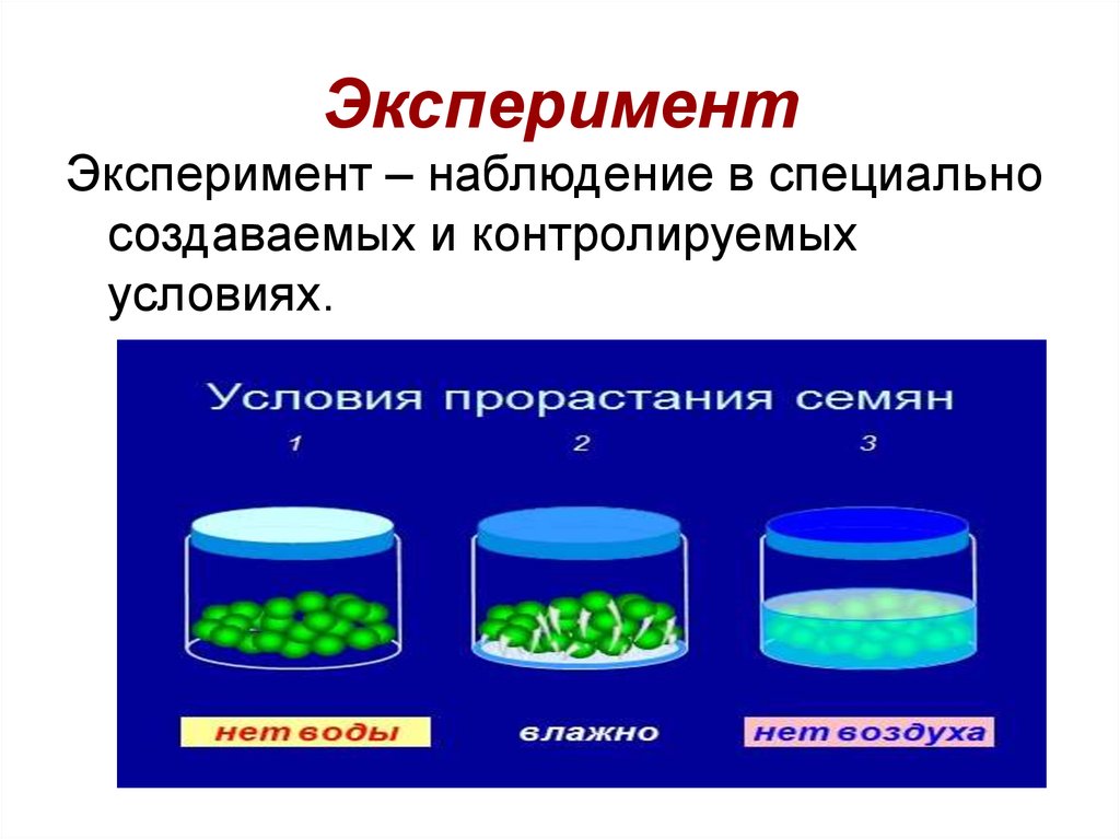 Презентация метод эксперимент