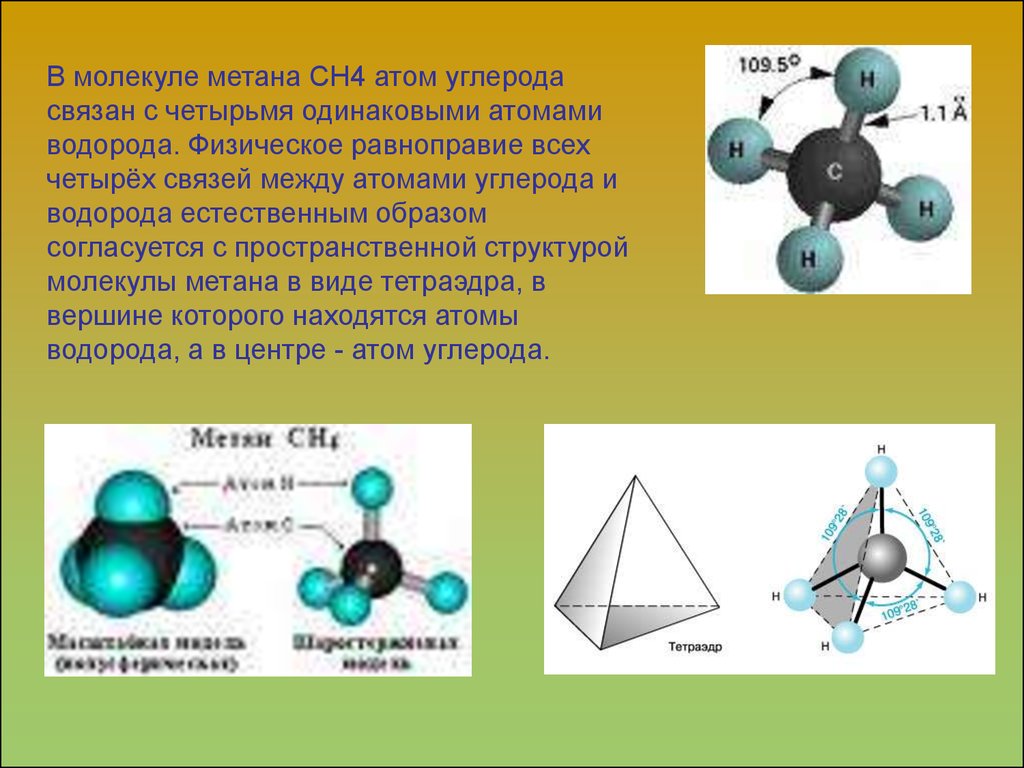 Атомов водорода в метане