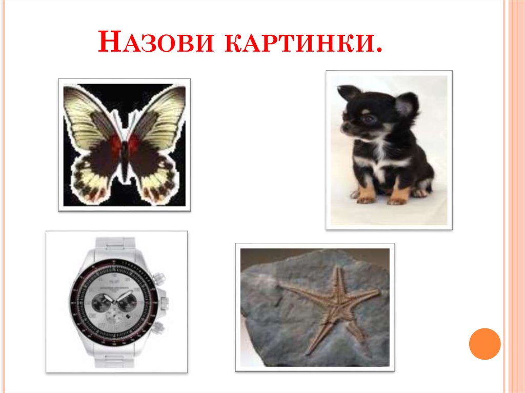 Назови картинки.