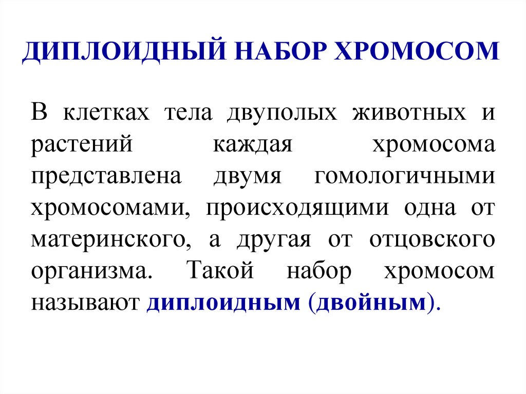 Какие клетки диплоидные. Диплоидный набор и гаплоидный набор. Диплоидный набор двойных хромосом. 2 Диплоидных набора хромосом. Гаплоидный и диплоидный набор хромосом.