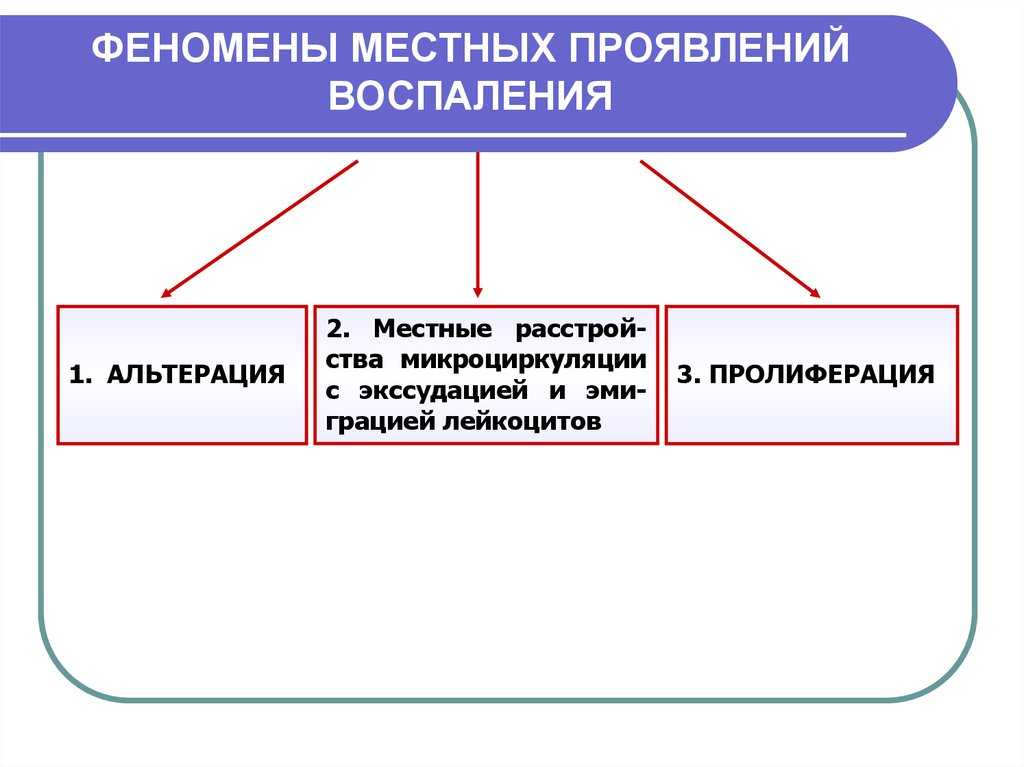 Местные воспаления. Альтерация воспаление местные проявления. Стадии воспаления проявления. Феномены воспаления. Проявление альтерации воспаления.