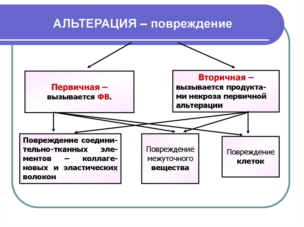 Медиаторы воспаления вызывают схема