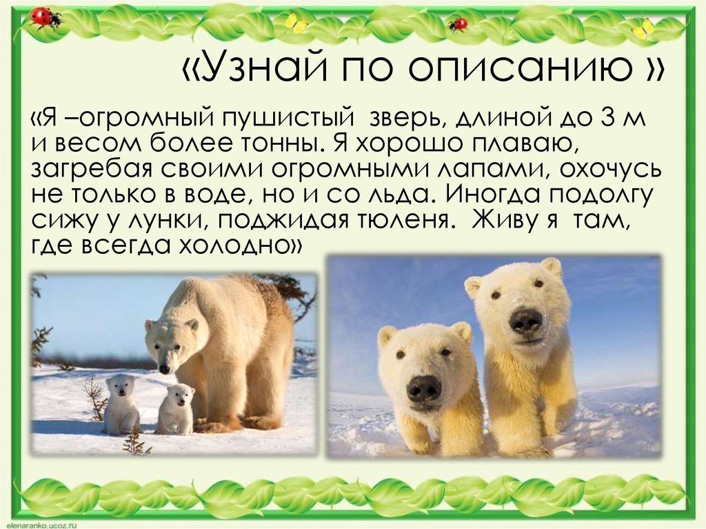 Найти по описанию. Узнай по описанию. Узнай животных по описанию. Угадай животное по описанию. Узнай животное поописнию.