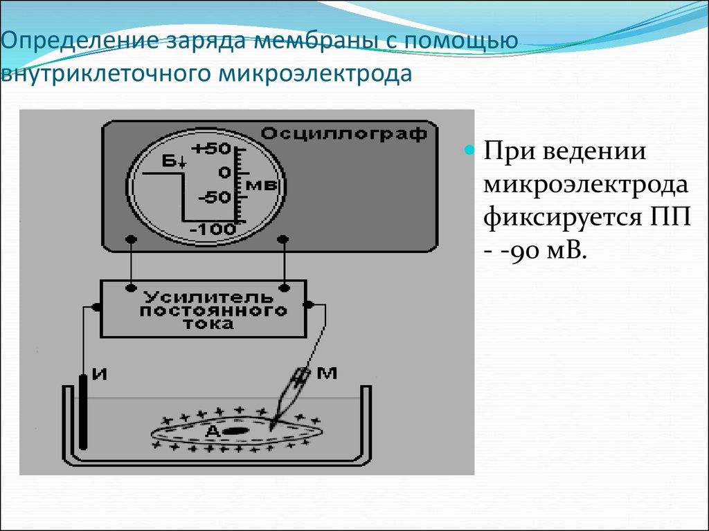 Определение заряда. Металлический микроэлектрод. Микроэлектродный метод. Микроэлектродное измерение. Микроэлектрод в методе внутриклеточного отведения.