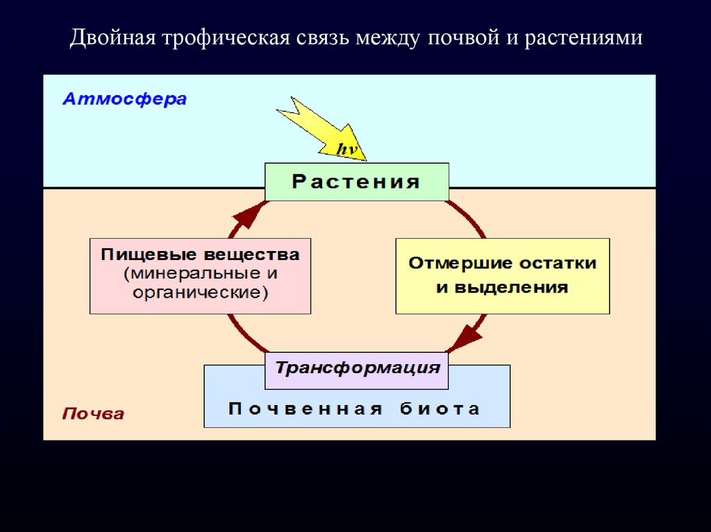 Обмен веществ в почве