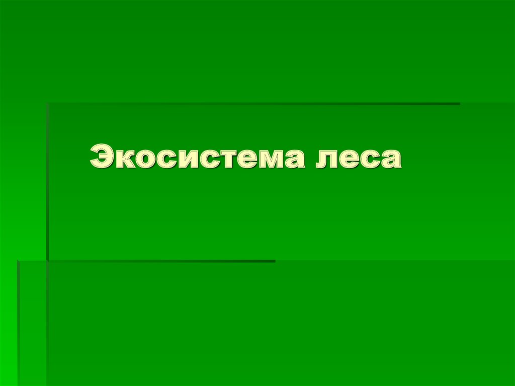 Лесная экосистема презентация