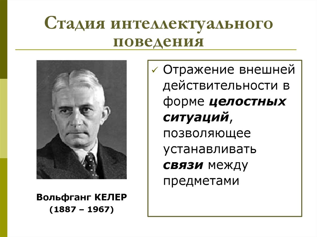 Стадию интеллекта выделил. Стадия интеллекта. Особенности интеллектуального поведения животных. Интеллектуальная стадия развития психики. Интеллектуальное поведение это в психологии.