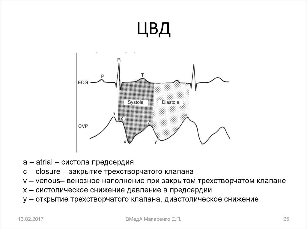 Венозное давление норма