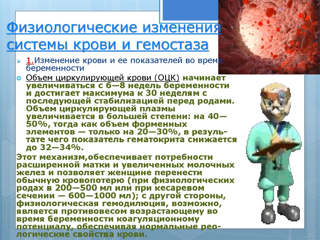 Физиологические изменения системы крови и гемостаза