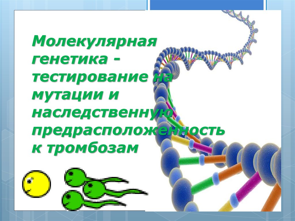 Молекулярно генетическая генетика