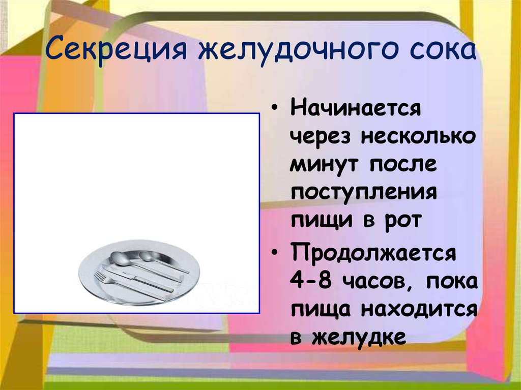 Через несколько минут. Выработка желудочного сока начинается через. Секреция желудочного сока. Секреторный желудочный сок.