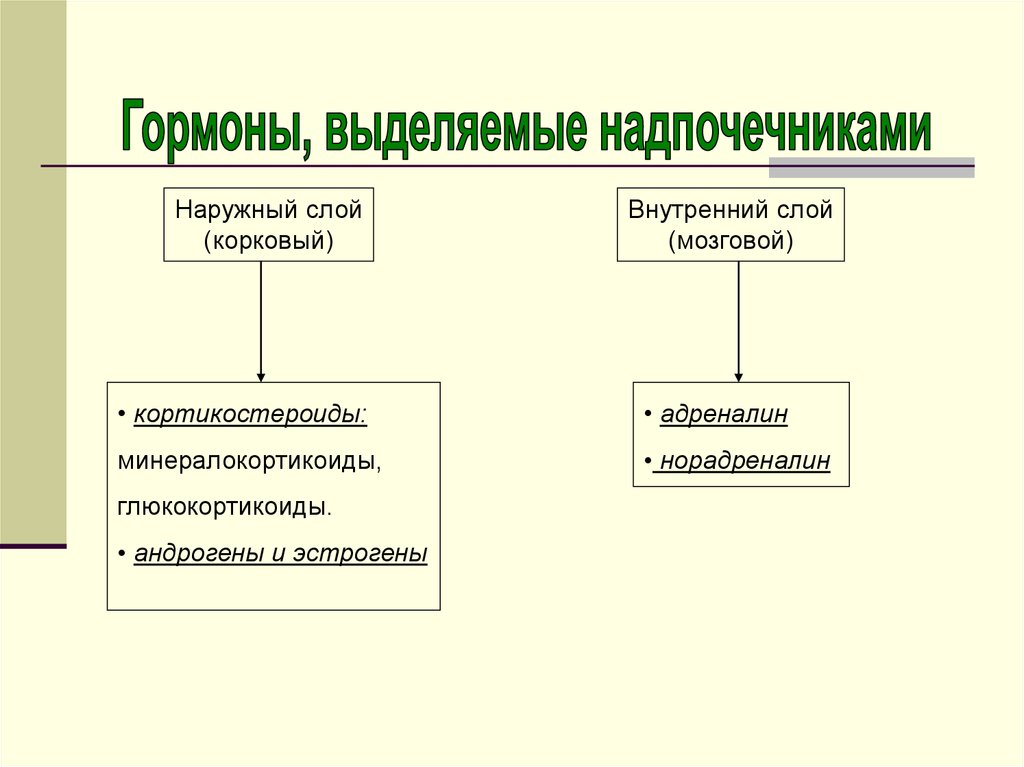 Регуляция процессов жизнедеятельности