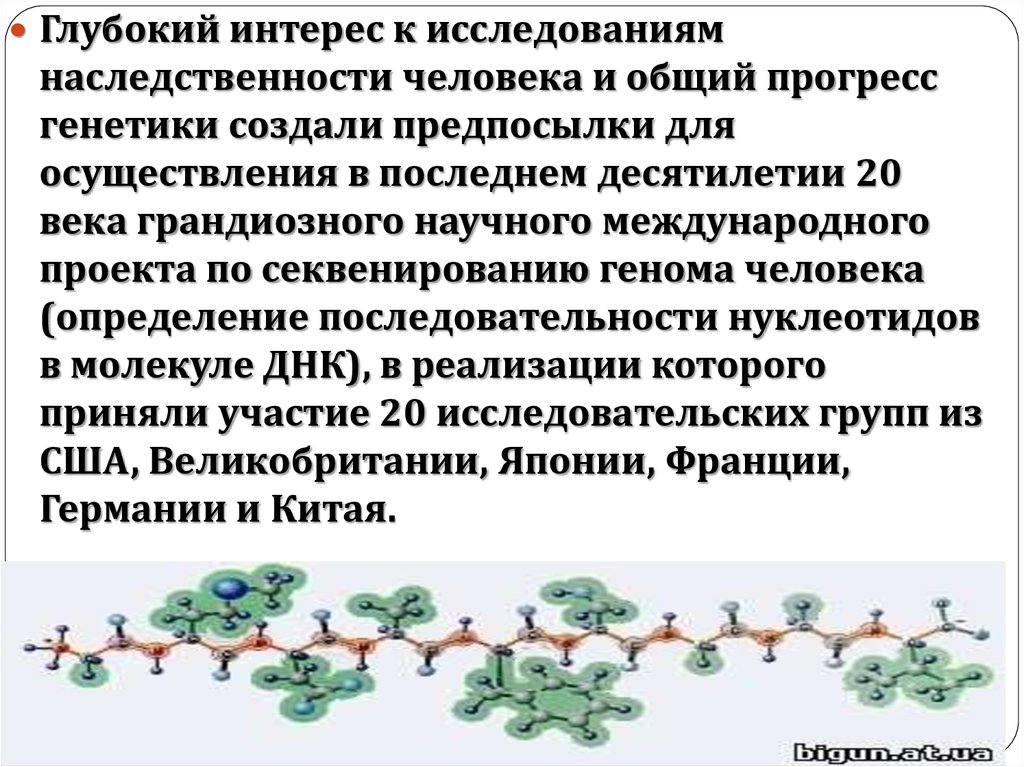 В работе международного проекта геном человека россия принимала участие