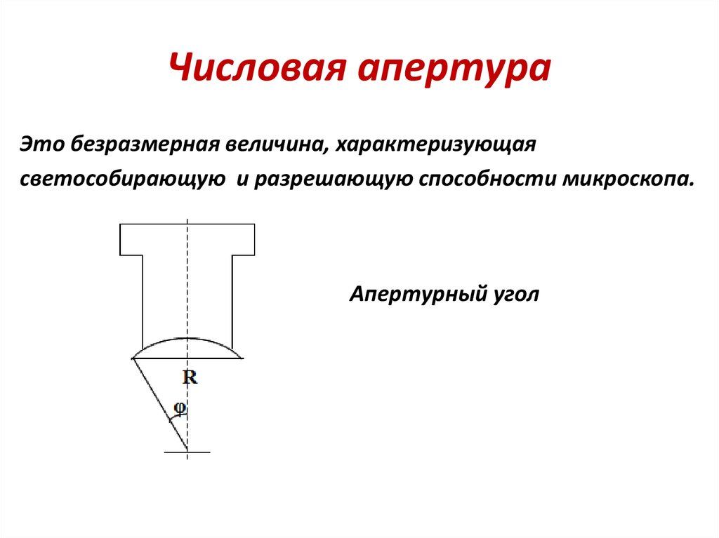 Апертурным углом называется. Апертурный угол объектива микроскопа. Апертура объектива микроскопа формула. Формула числовой апертуры микроскопа. Апертурный угол микроскопа на схеме.