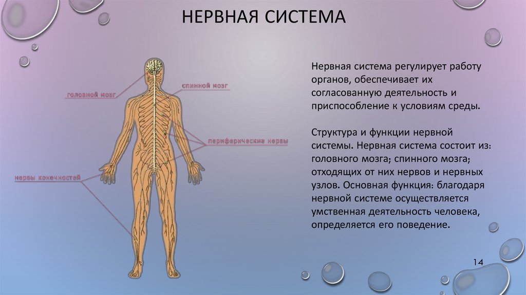 Чем лечить нервы