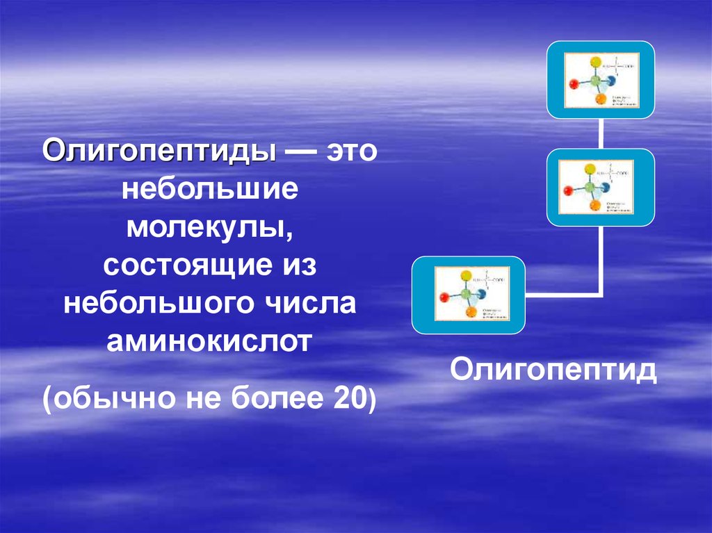 Олигопептиды. Олигопептиды формула. Олигопептиды и их функции. Олигопептид пример.
