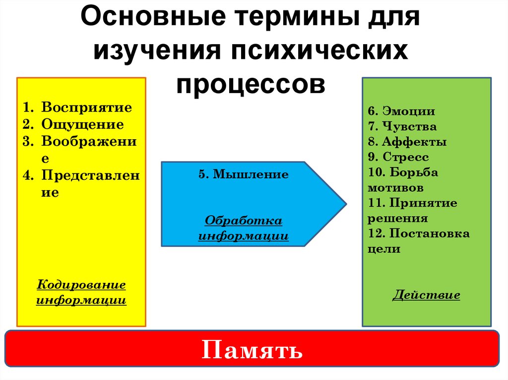 Мышление переработка информации. Мышление переработка информации