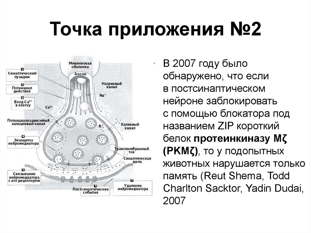 Точка приложения №2