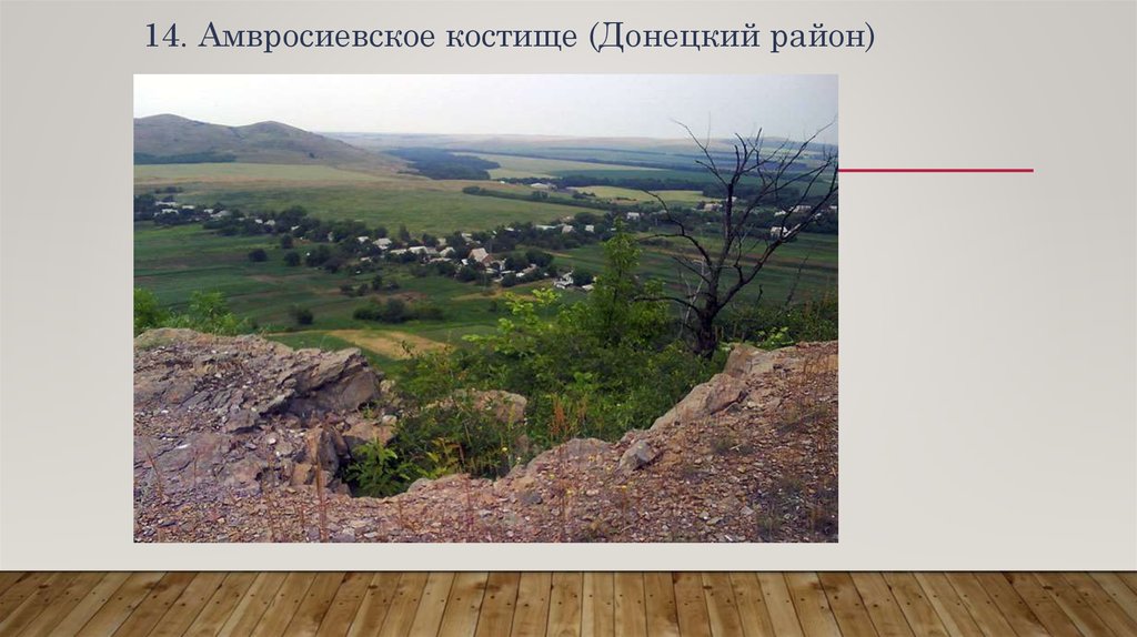 14. Амвросиевское костище (Донецкий район)