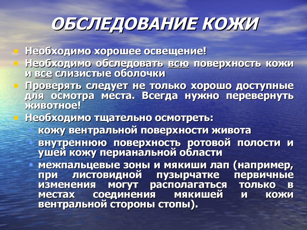 Свободы человека и гражданина являются. Права и свободы человека и гражданина. Пра и свободы человека и гражданина. Прва исвободы человека. Основные права человека и гр.