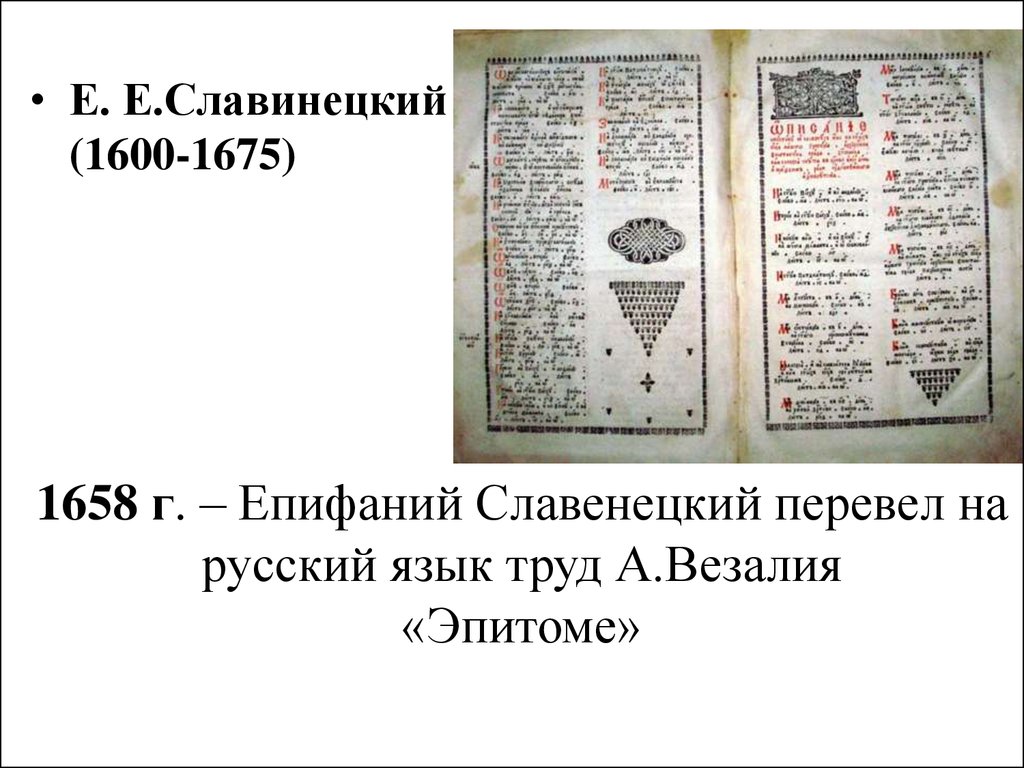 Медицина московского государства 15 17. Епифаний Славинецкий (1600-1675). Епифаний Славинецкий 17 век. Епифаний Славинецкий (1600-1675) гражданство обычаев детских. Епифаний Славинецкий греко Славяно латинский словарь.