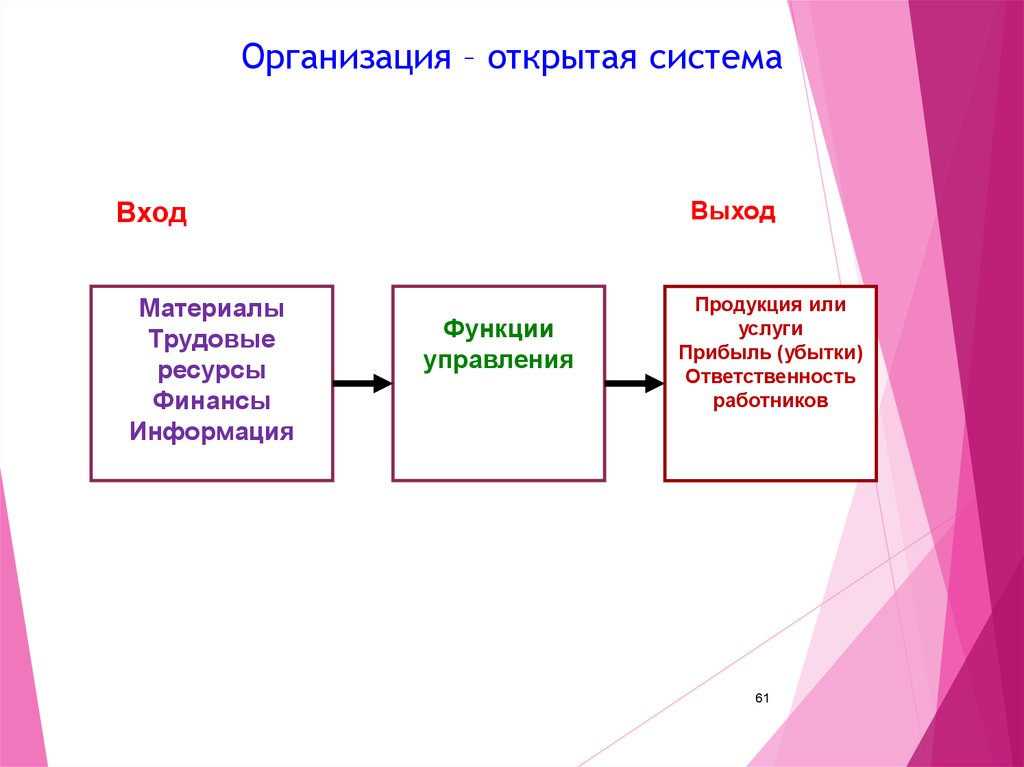 Теория организация открытая система