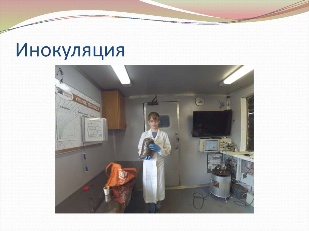 Инокуляция