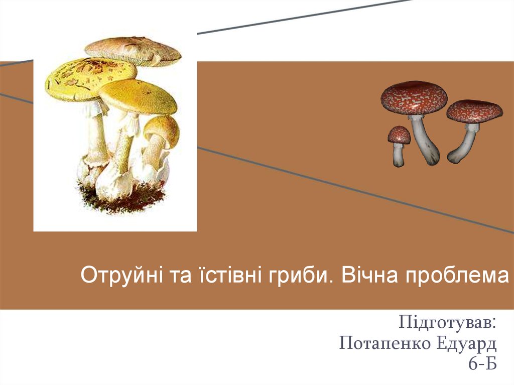 Отруйні та їстівні гриби. Вічна проблема